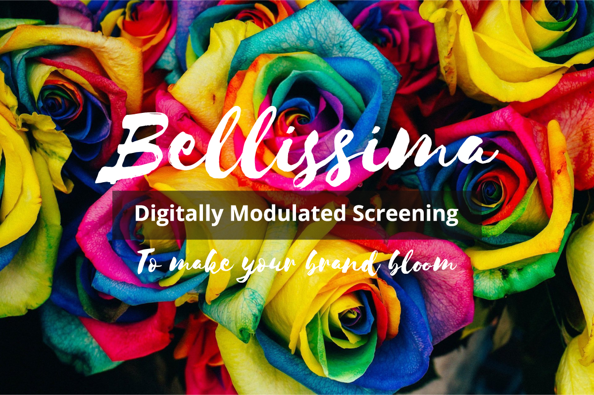 Bellissima DMS To Make Your Brand Bloom